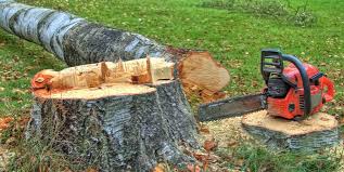 Best Tree Removal  in Truckee, CA