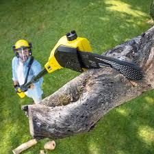 Best Lawn Mowing  in Truckee, CA
