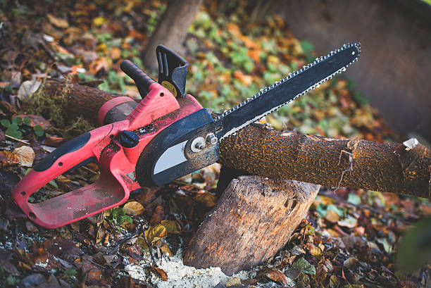 Best Lawn Watering Services  in Truckee, CA